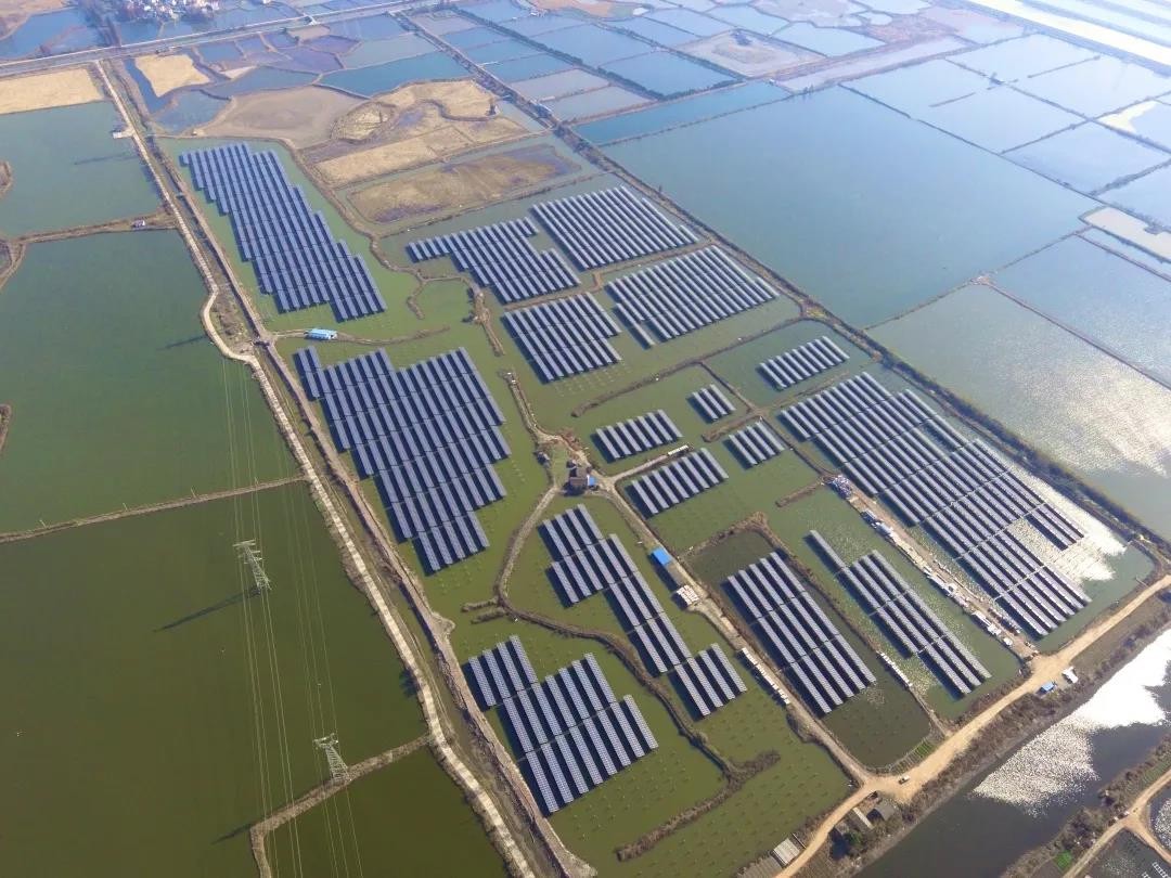 A Fishery-solar Masterpiece in the Watery Town - haobo.com's 110 MW PV Project in Tongling, Anhui Province Successfully Connected to the Grid for Power Generation