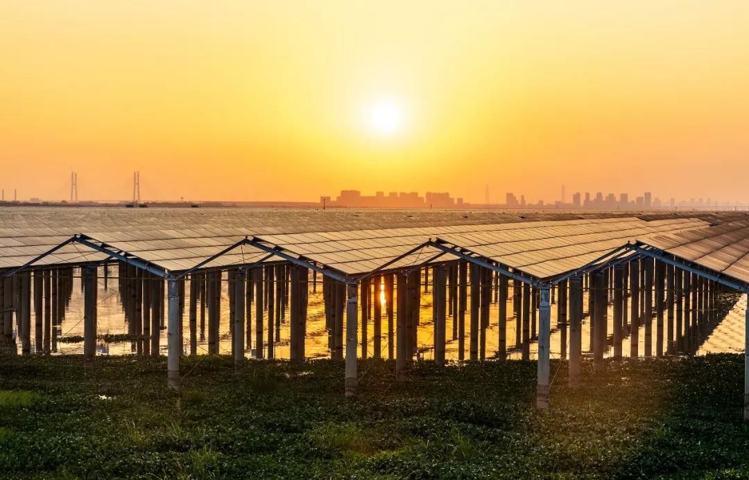 Beyond Success - haobo.com Achieved a Preferred Scale of 1120 MW in Jiangxi